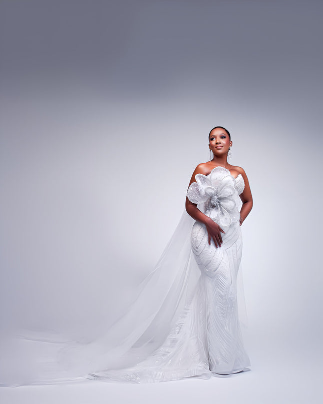 REVERIE Consultation