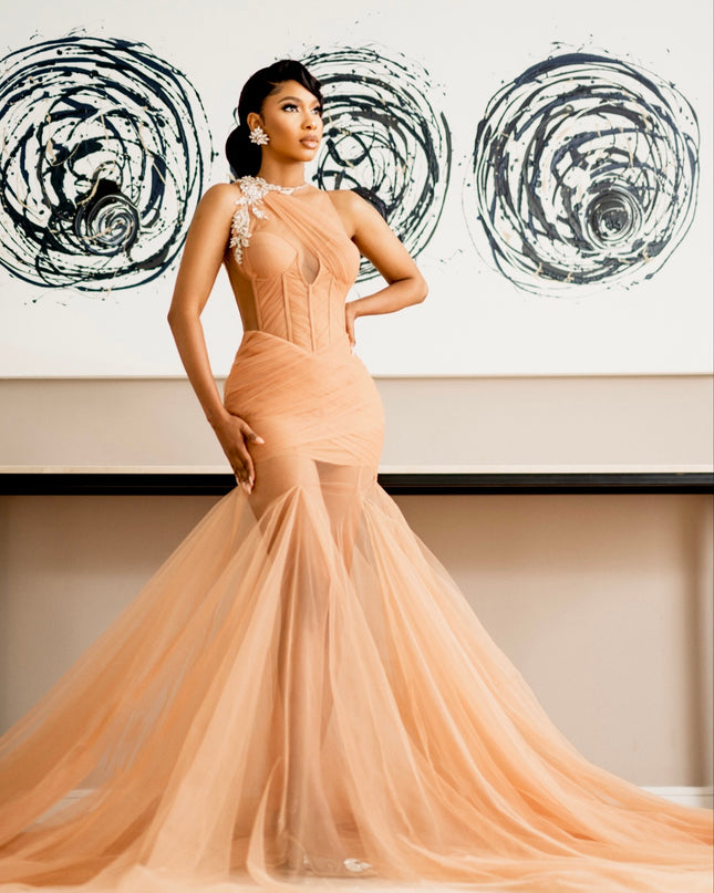 NUDE TULLE GOWN Consultation